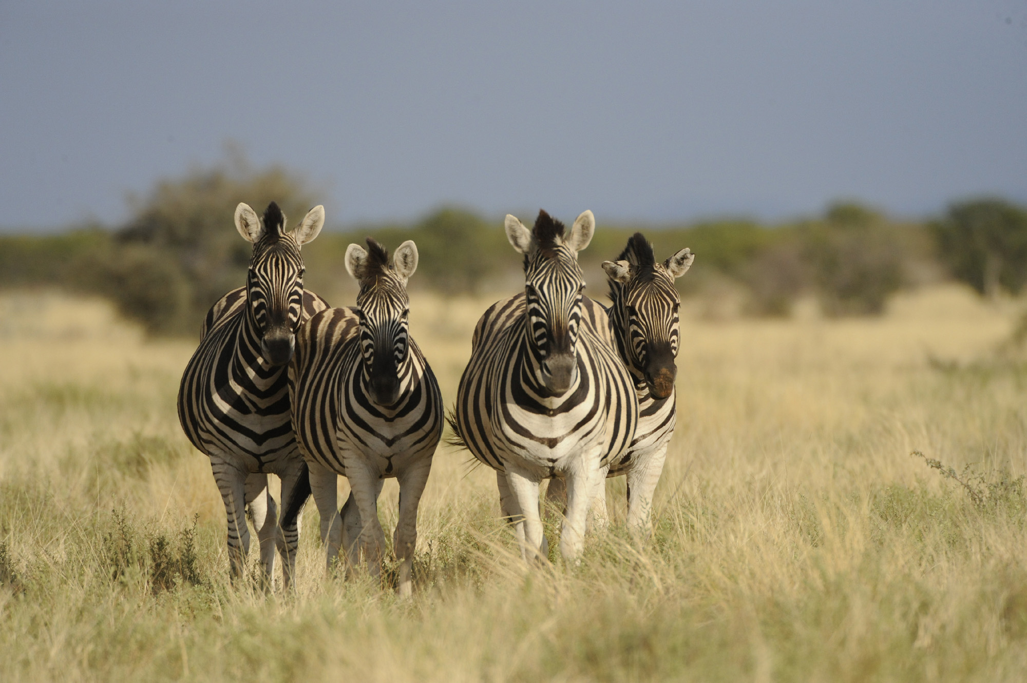 Cape Point Accommodation Table Mountain National Park SANParks
