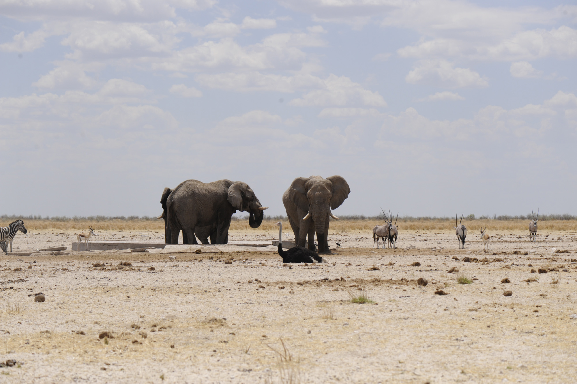 West Coast Rest Camp Accommodation West Coast National Park SANParks