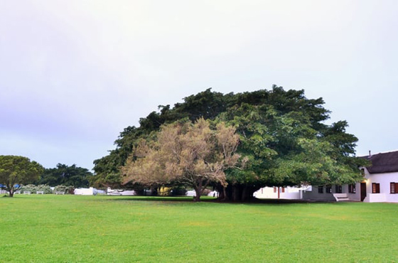 De Hoop Camping Site Accommodation Ai Ais Richtersveld National Park SANParks