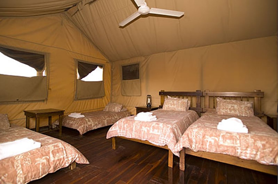 Kalahari Tented Camp Accommodation Kgalagadi Transfrontier Park SANParks
