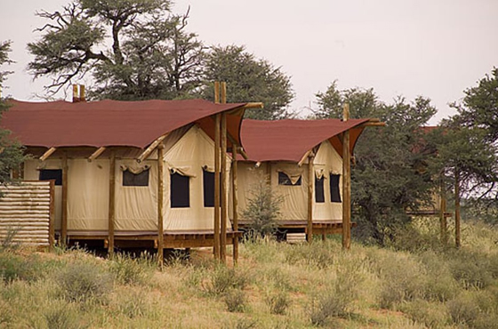 Kalahari Tented Camp Accommodation Kgalagadi Transfrontier Park SANParks