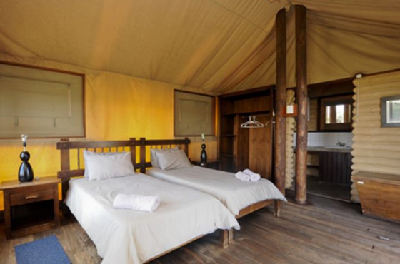 Kalahari Tented Camp Accommodation Kgalagadi Transfrontier Park SANParks