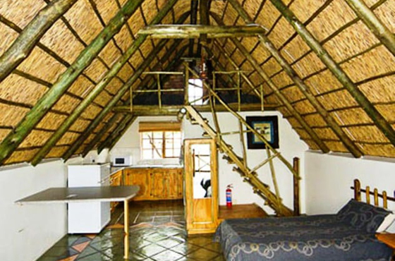 Lilydale Rest Camp Accommodation Mokala National Park SANParks