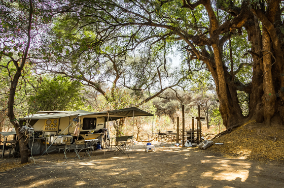Mazhou Camp Site Accommodation Mapungubwe National Park SANParks