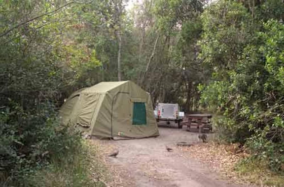 Nature's Valley Rest Camp Accommodation Garden Route National Park SANParks