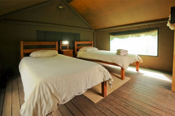 Spekboom Tented Rest Camp Accommodation Addo Elephant National Park SANParks
