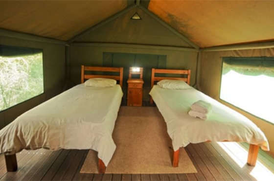 Spekboom Tented Rest Camp Accommodation Addo Elephant National Park SANParks
