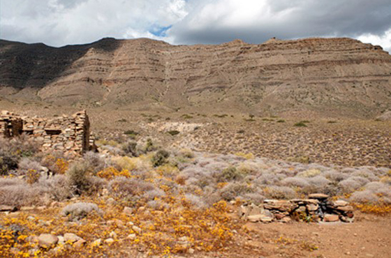 Tankwa Karoo Campsites Accommodation Tankwa Karoo National Park SANParks